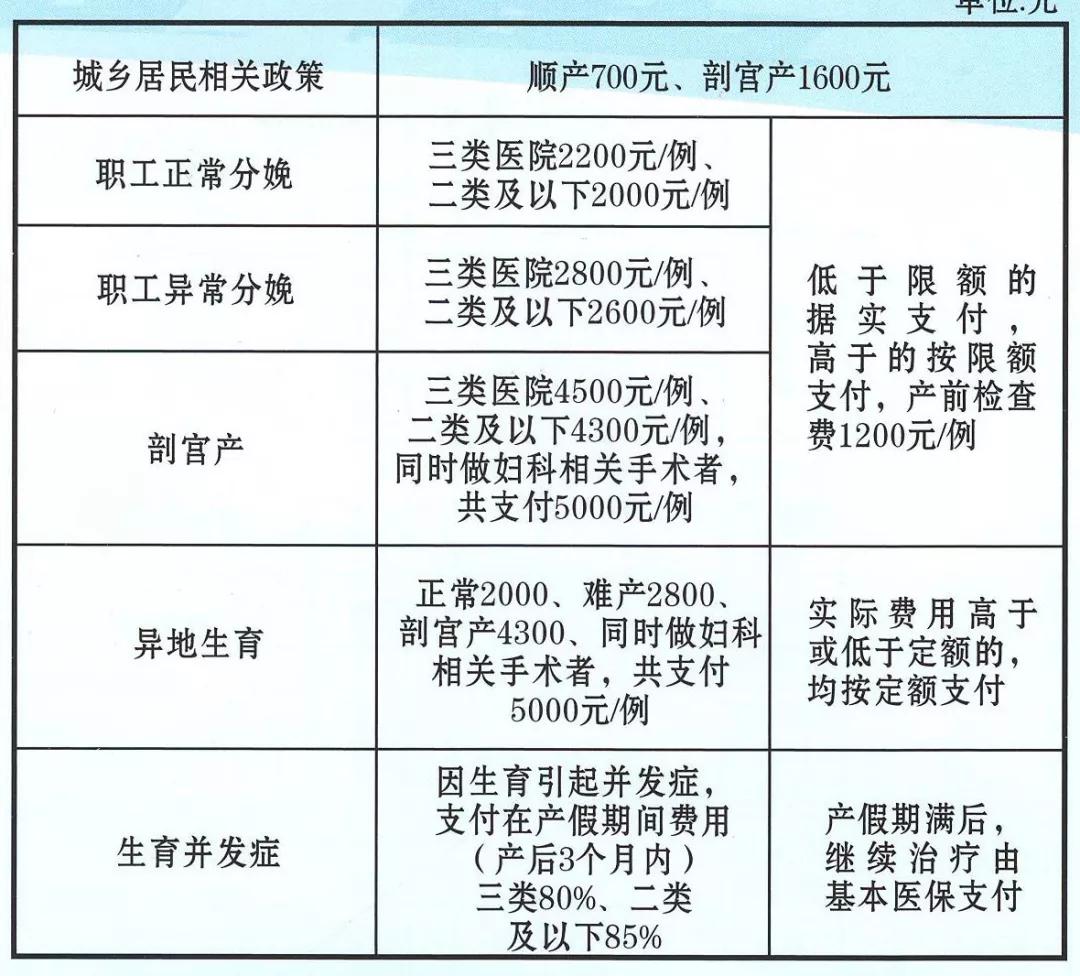 最新生育政策解读，社会进步的考量与影响