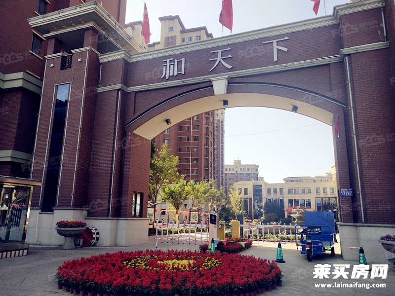 莱芜和天下最新动态,莱芜和天下最新动态，学习变革的浪潮，自信与成就感的源泉