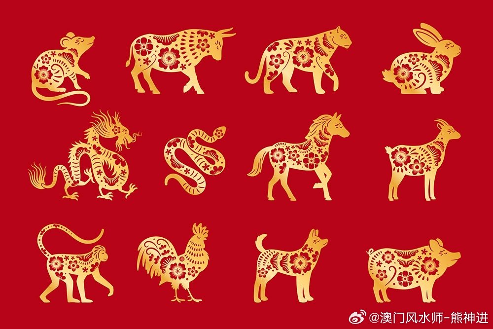＂2024年新澳门生肖走势图＂的：实用性解读策略_传承版1.27