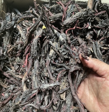 紫草价格行情，变化中的机遇，激发自信与成就感之源