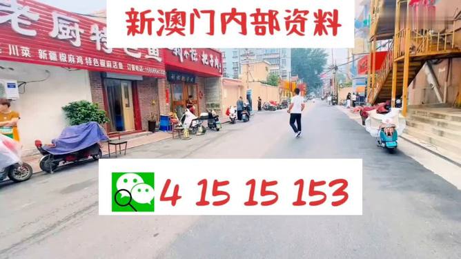 ＂2024澳门天天开好彩免费大全＂的：系统评估分析_家庭版1.85