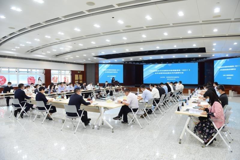 跨境通行情深度解读，多元视角与剖析论述
