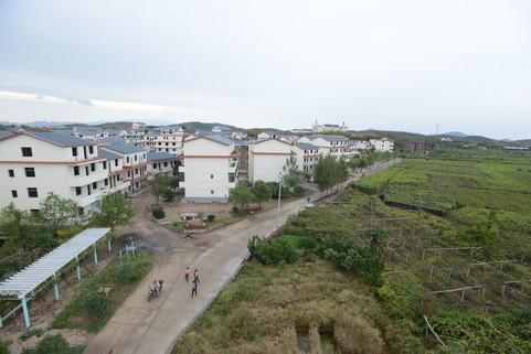 七陂村最新动态与学习变化，自信塑造未来