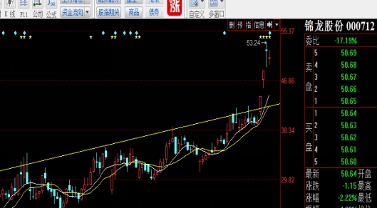 深度解析，牛市行情的背景、事件与地位影响