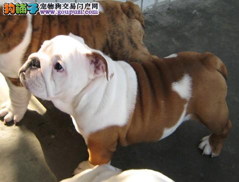 第918页