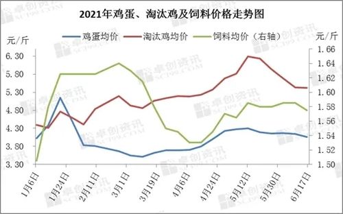 鸡饲料行情背后的友情故事