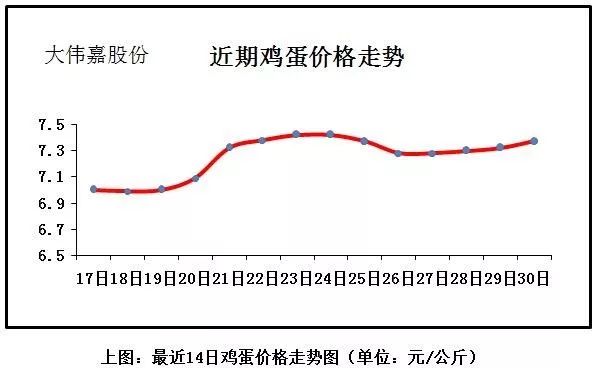 河南鸡蛋行情今日报价，自信与成就感的源泉