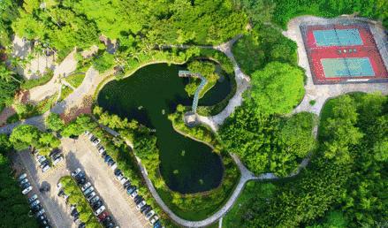 中国宝安最新动态及观点论述