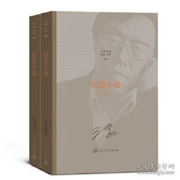 盛宁徐启刚小说新作,盛宁徐启刚小说新作，时代背景下的文学印记