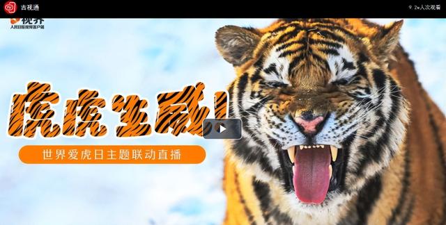 探索四虎最新热门视频内容的世界
