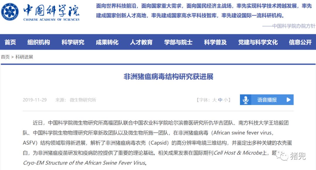 最新病毒情报揭秘，小巷深处的神秘小店