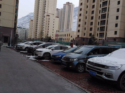 红山绿茵小区最新资讯，探索自然美景，寻觅内心平和绿洲之旅