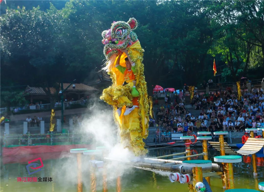 时代瞩目下的狮子荣耀，最新争霸视频震撼呈现！