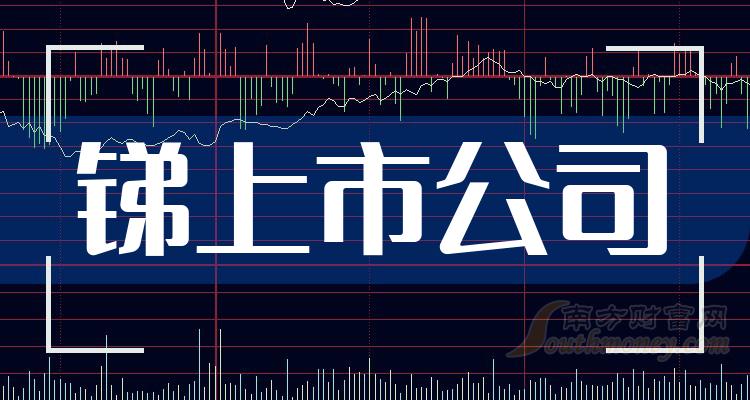 锑上市公司的日常风采
