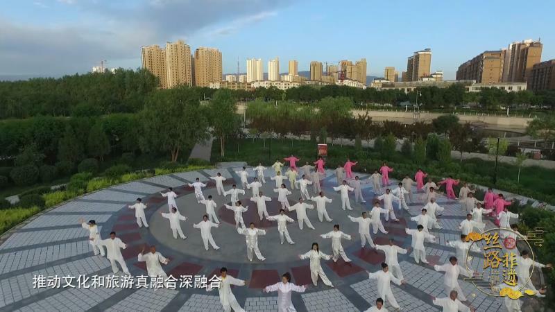 甘肃电视台公共频道，多元化服务与地域文化的融合之旅