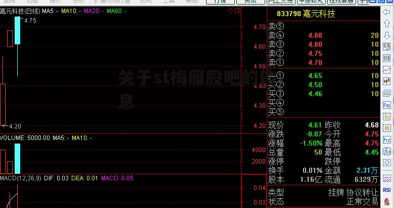 梅雁股票最新动态，全面指南