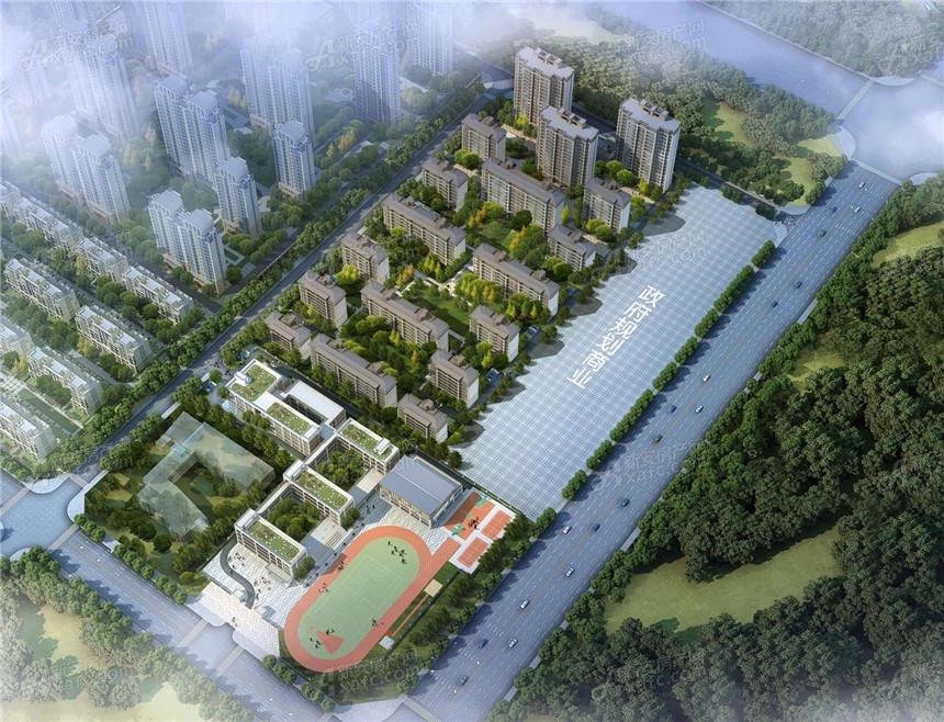 合肥楼市深度解析，巷弄深处的隐藏宝藏与动态趋势探究