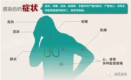 深圳H7N9疫情最新消息更新