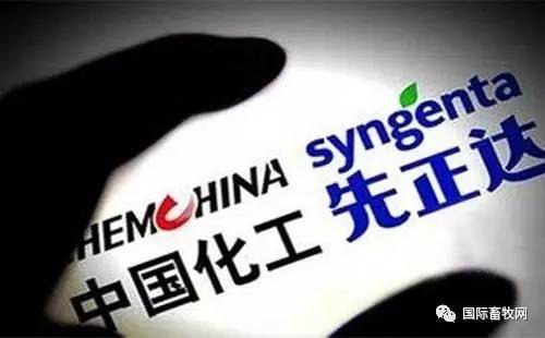 关于收购先正达最新消息的深度论述，最新动态与解析