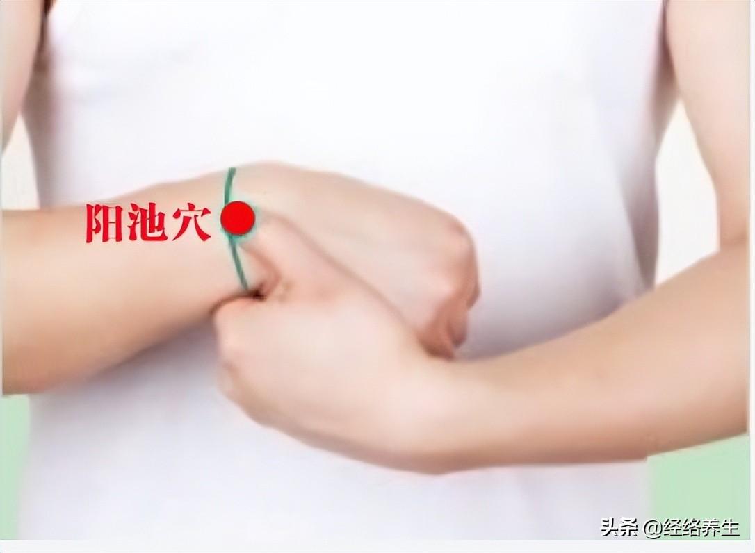 巷弄深处的独特风味，最新中指通带你开启味蕾之旅