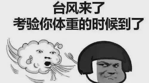 台风最新动态2025，小巷深处的特色风暴，自然与味蕾的双重奇遇