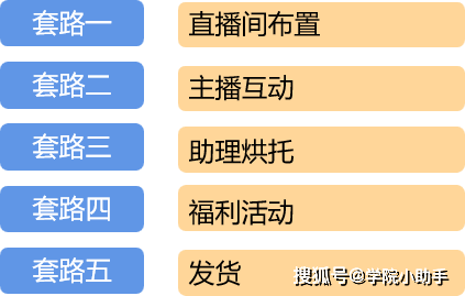 套路直播最新版，日常趣事与情感纽带的直播间