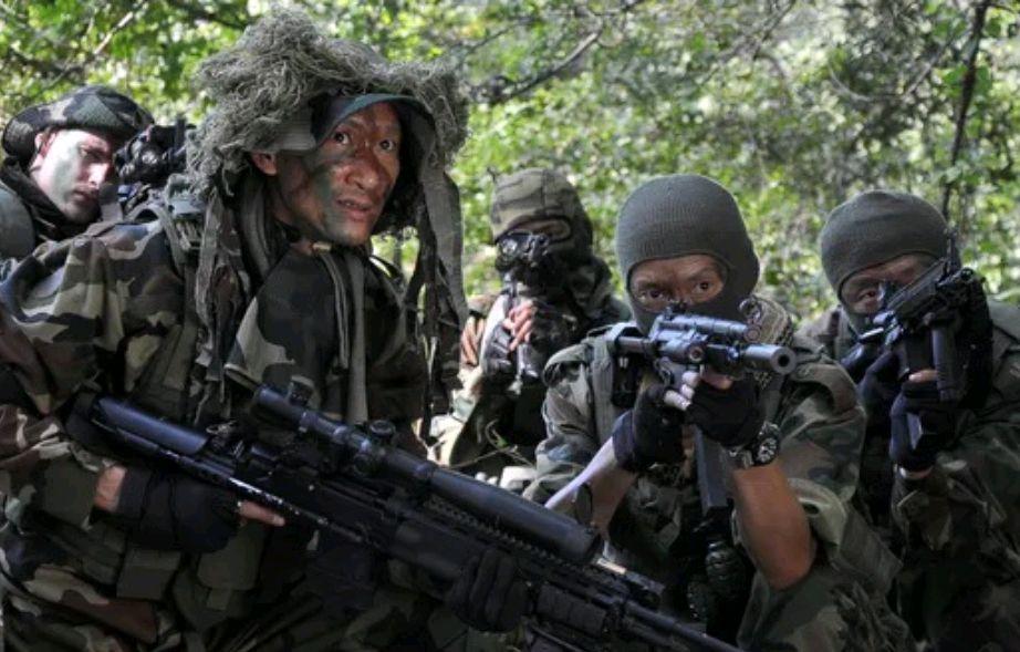 最新特种兵电视剧，铁汉柔情之温馨日常纪实