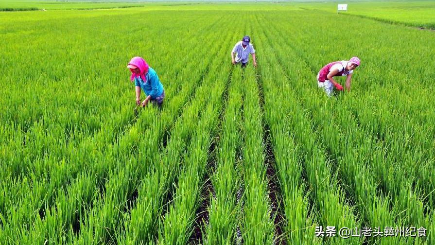 楚雄最新招聘信息，变化、学习与自信的力量在招聘中的体现