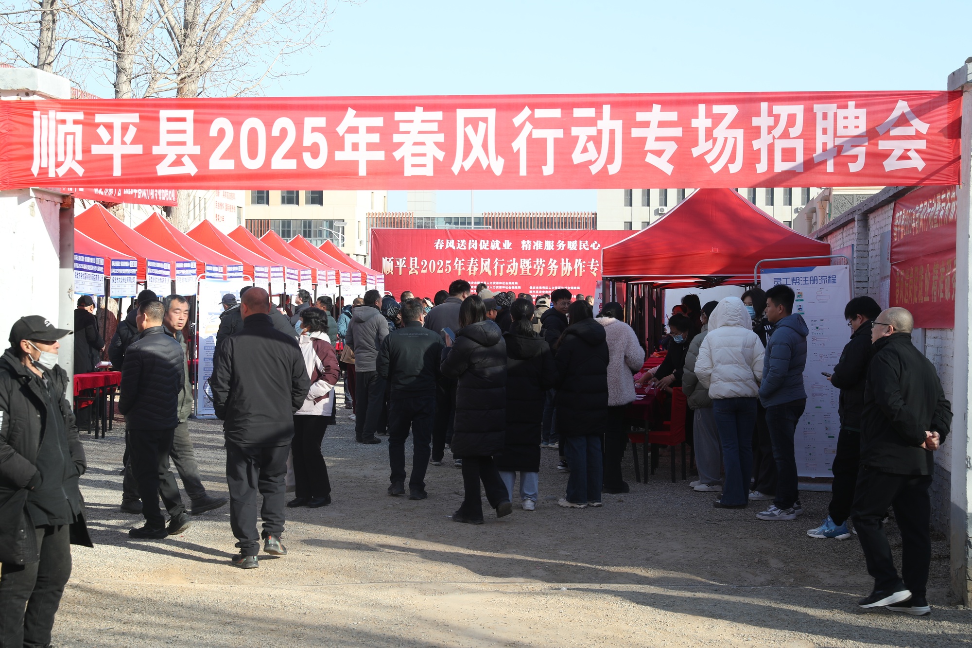 顺平最新招聘信息，时代的脉搏与就业的航标同步更新中