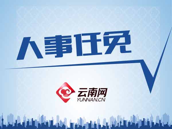 云南最新人事任免，科技革新推动智能生活发展