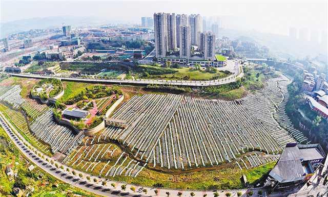 万州天子湖最新动态，科技打造未来湖泊生活体验