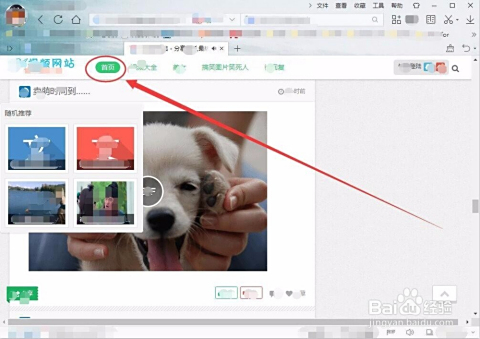 追寻91久久视频新旅程，自然美景的治愈之旅