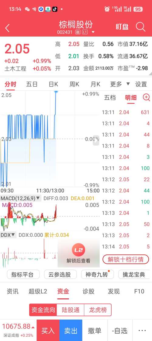 棕榈股份股票最新动态，深度分析与观点阐述